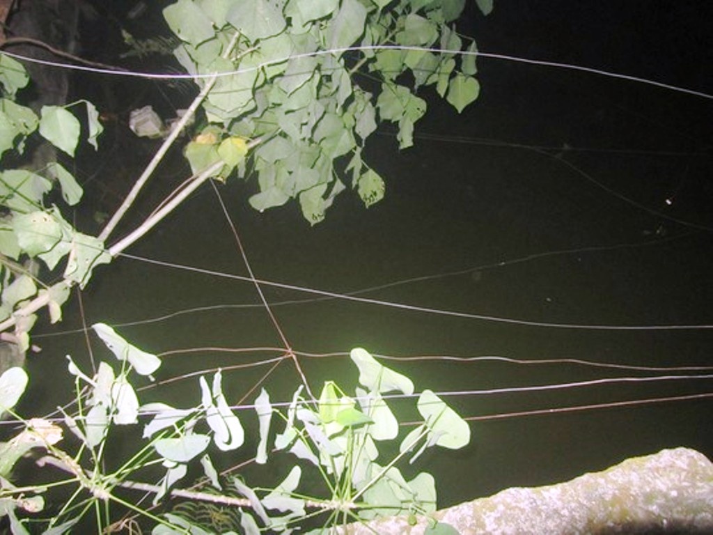 Dung dien bay trom, giat chet hang xom hinh anh