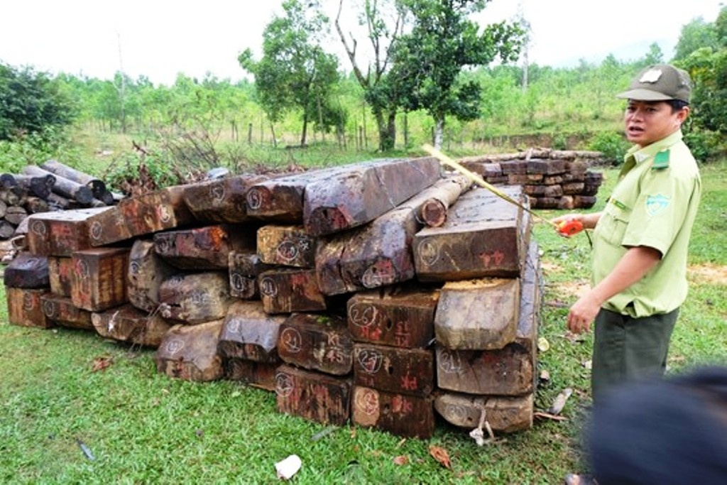 Lam tac tap ket go cach tram kiem lam vai tram met hinh anh