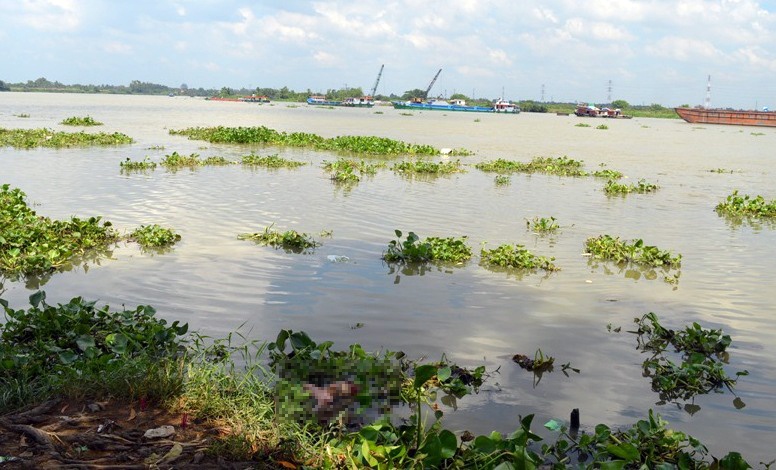 Khu vực phát hiện thi thể bé gái trên sông Sài Gòn.