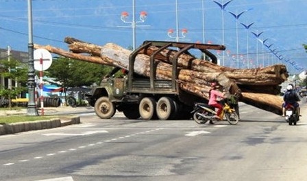 Xe cho go 'sieu khung' ngong nghenh duong pho hinh anh