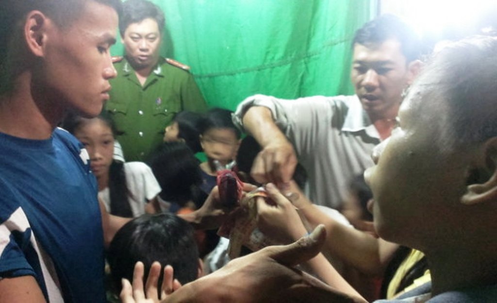 Xiec 'lua' den Kien Giang: dan than, so... doi xem lai hinh anh