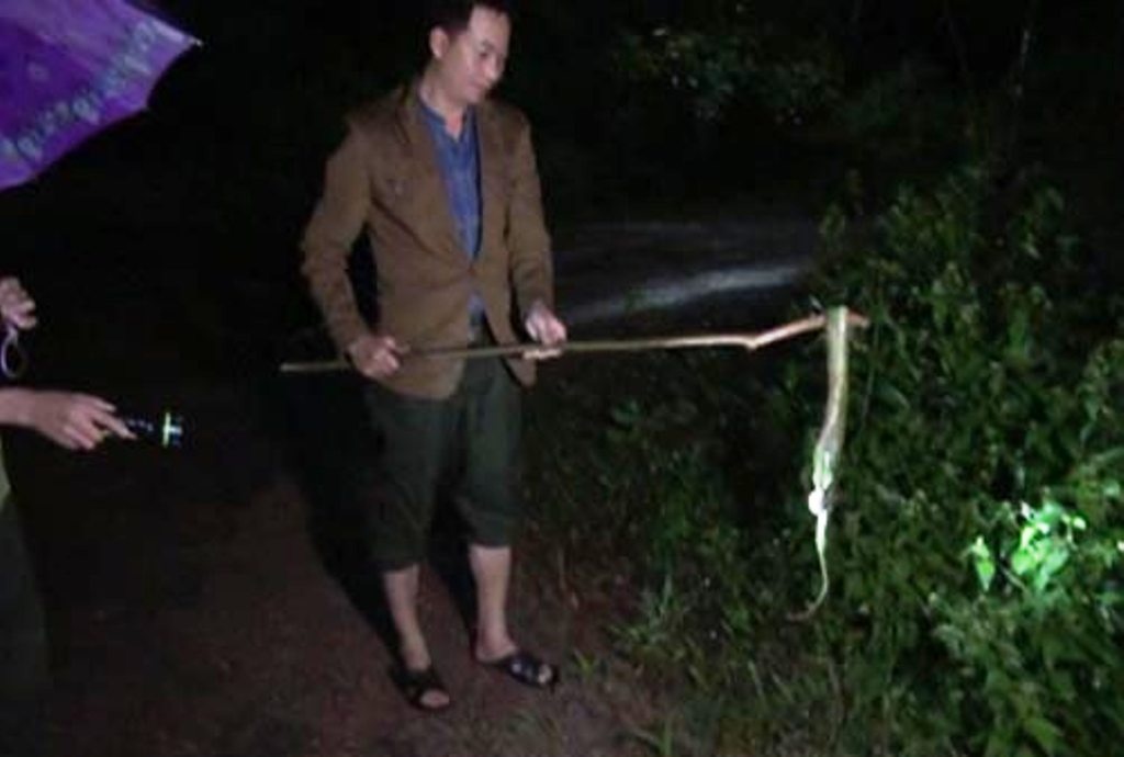 'Lanh nguoi' ran luc duoi do trong khu dan cu hinh anh