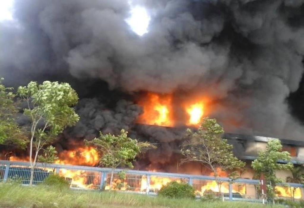 Chay du doi trong khu cong nghiep o Long An hinh anh