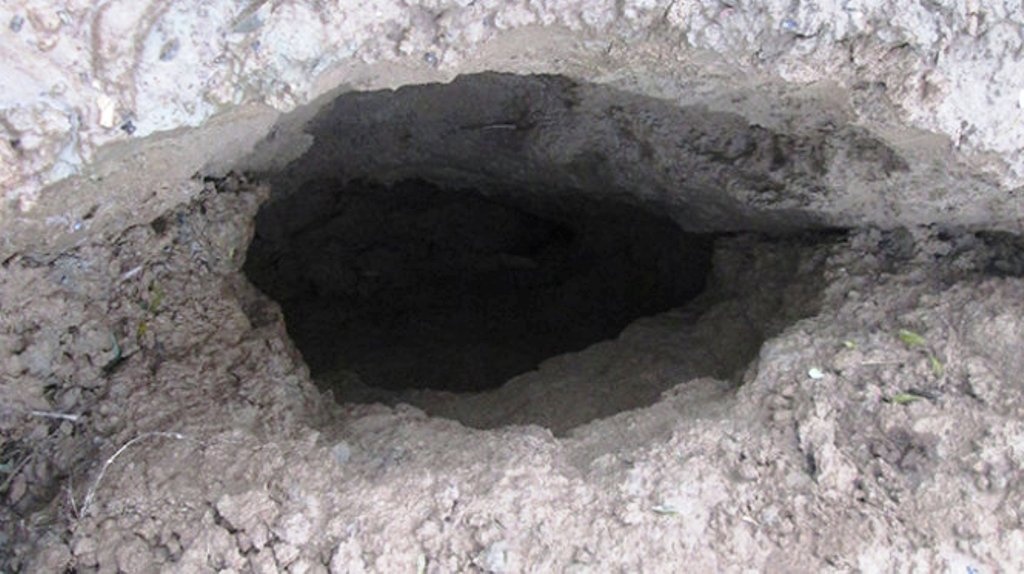 Sut lun sau dong dat tai vung cao Quan Son, Thanh Hoa hinh anh