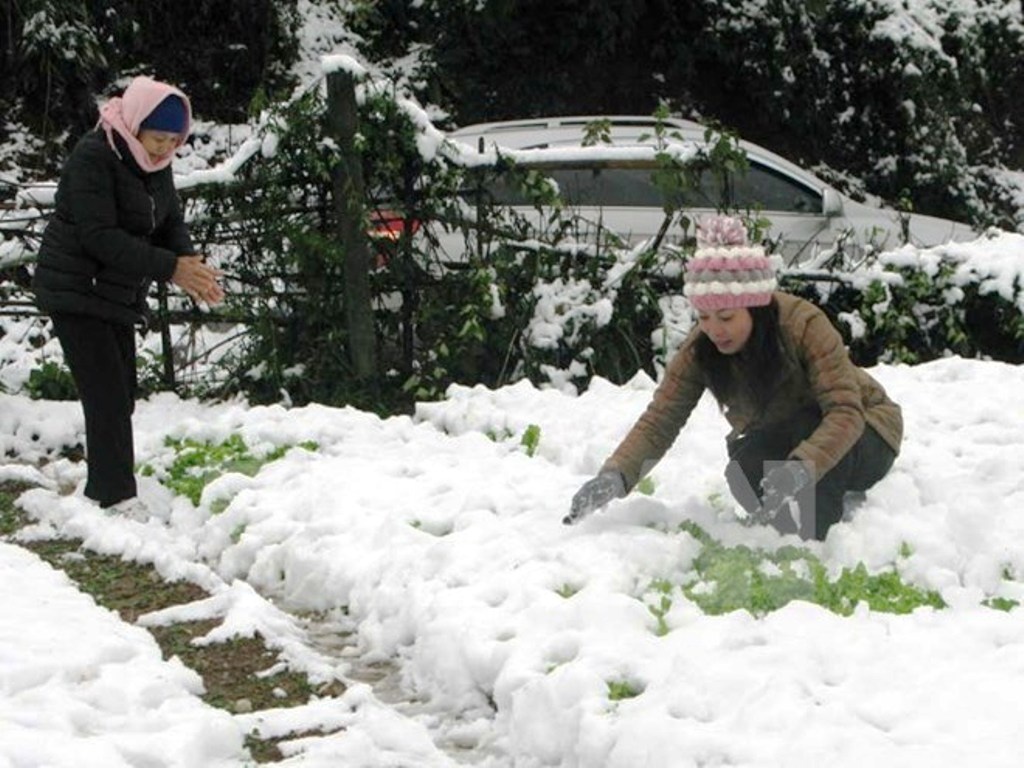 Mien Bac co the xuat hien 1 - 2 dot ret dam, ret hai hinh anh