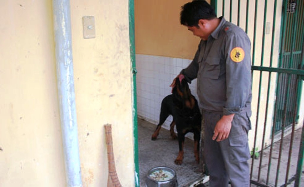 Đại uý Dũng vuốt ve con Gâu