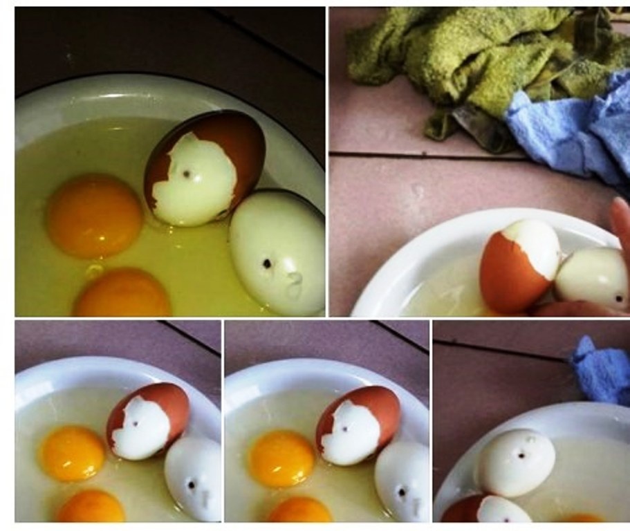 Không thể có trứng gà tiêm máu bị nhiễm HIV.