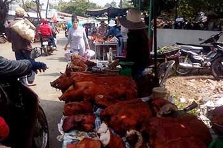 'Loc son than' re nhu beo duoi chan nui Chua Chan hinh anh