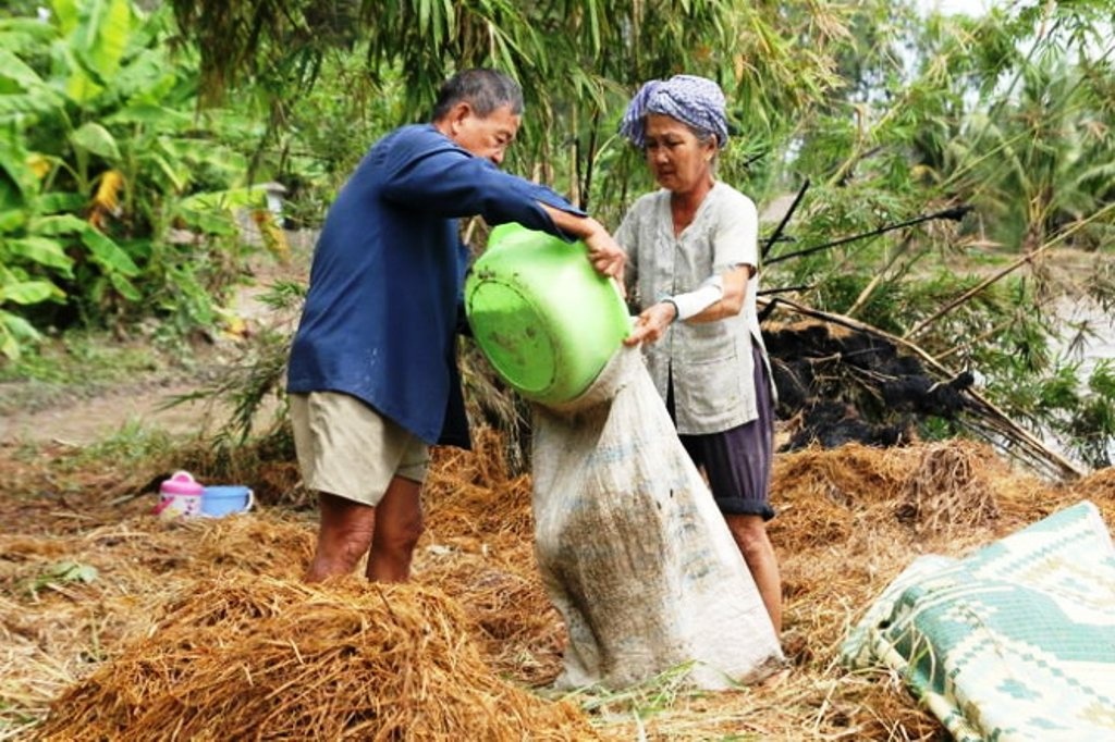 Mot doi luom mot hinh anh