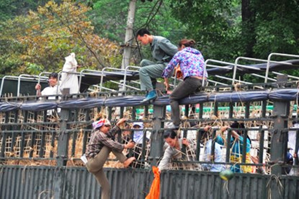 Duoi theo xe, bat chap mang song mot dua o cua khau hinh anh