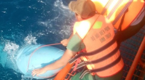 Vot duoc khung kinh buong lai cua Su-22 gap nan hinh anh