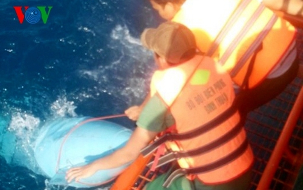 Một mảnh vỡ của máy bay Su-22 được vớt lên. Ảnh: VOV.