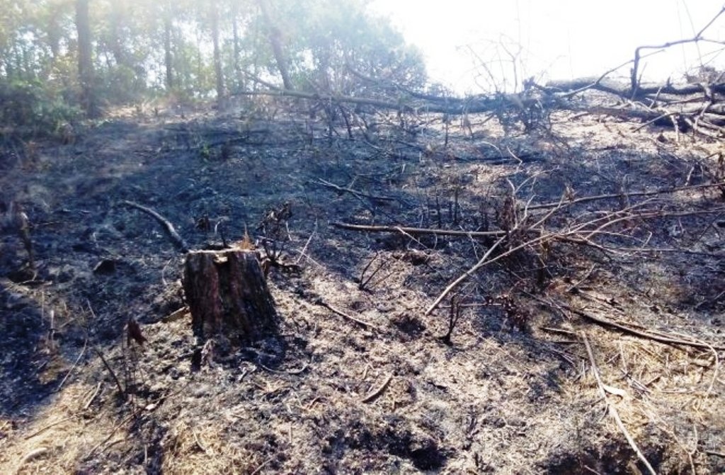 Hai nguoi chet chay nghi do dot thuc bi hinh anh