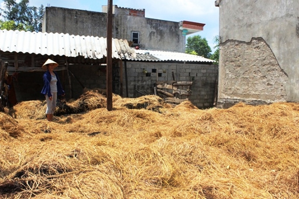 Ke xau 'dot nhap', dan lang mac vong canh thau dem hinh anh