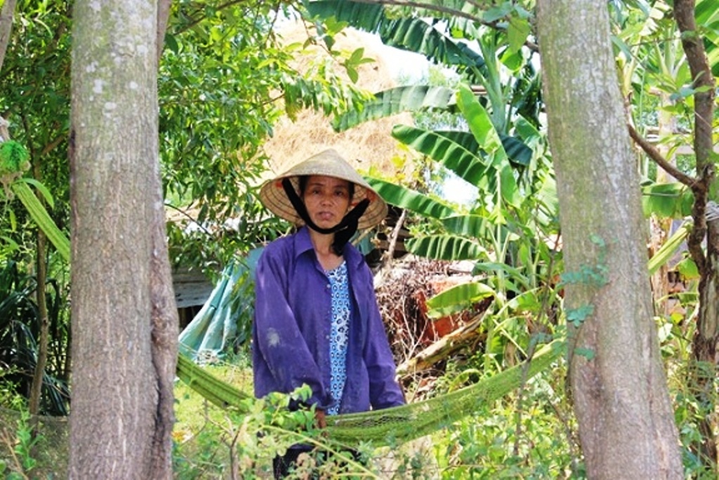 Nhà bà Phan Thị Quý chỉ có cây rơm to và hai con bò là tài sản quý nhất. Cứ tối đến là hai vợ chồng hai đầu nhà mắc võng canh rơm.