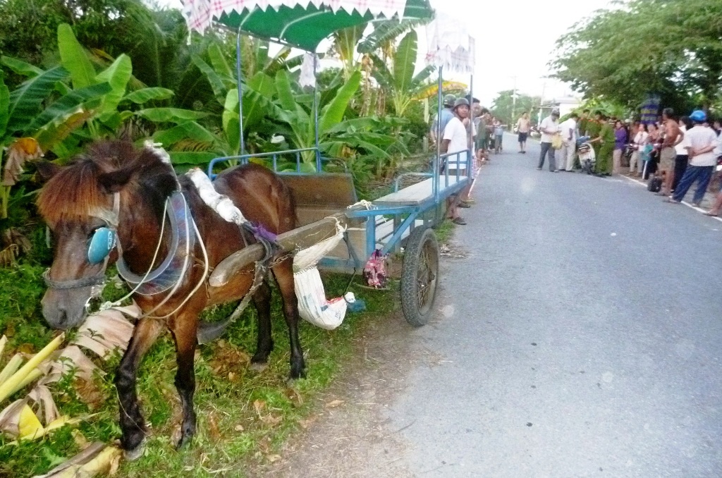Va cham voi xe ngua, cu ong 78 tuoi tu vong hinh anh