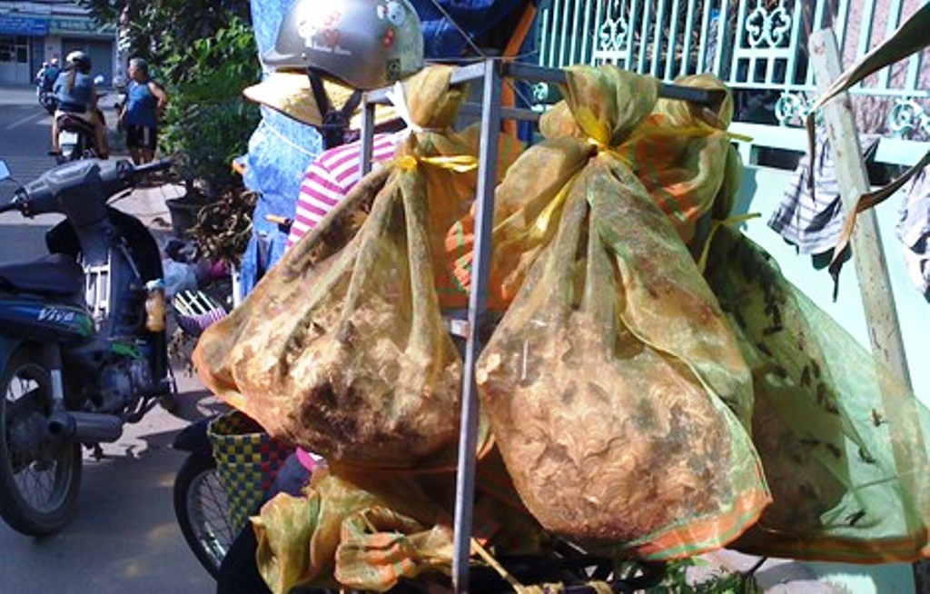 Một người phụ nữ đang rao bán tổ ong vò vẽ tại con hẻm thuộc Khu phố 7, P.Tân Phong, TP.Biên Hòa.