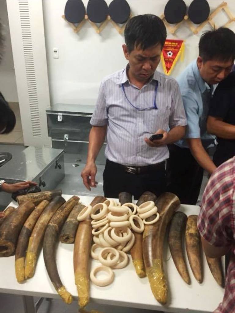 Lô ngà voi, sừng tê giác vừa được phát hiện tại sân bay quốc tế Nội Bài.
