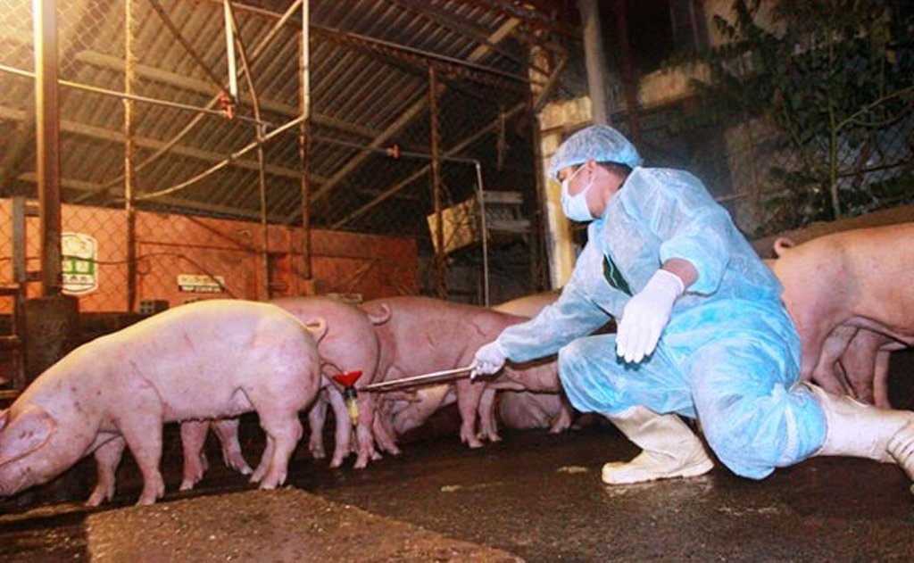 Truy tim chat cam tai lo mo heo hinh anh