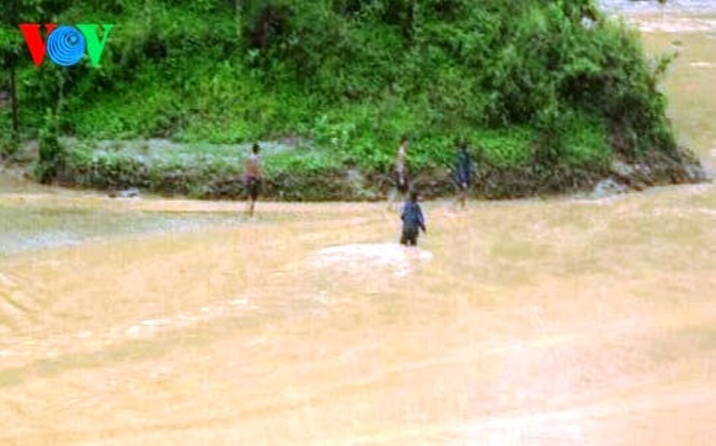 Mưa lũ khiến 15 ha lúa bị vùi lấp