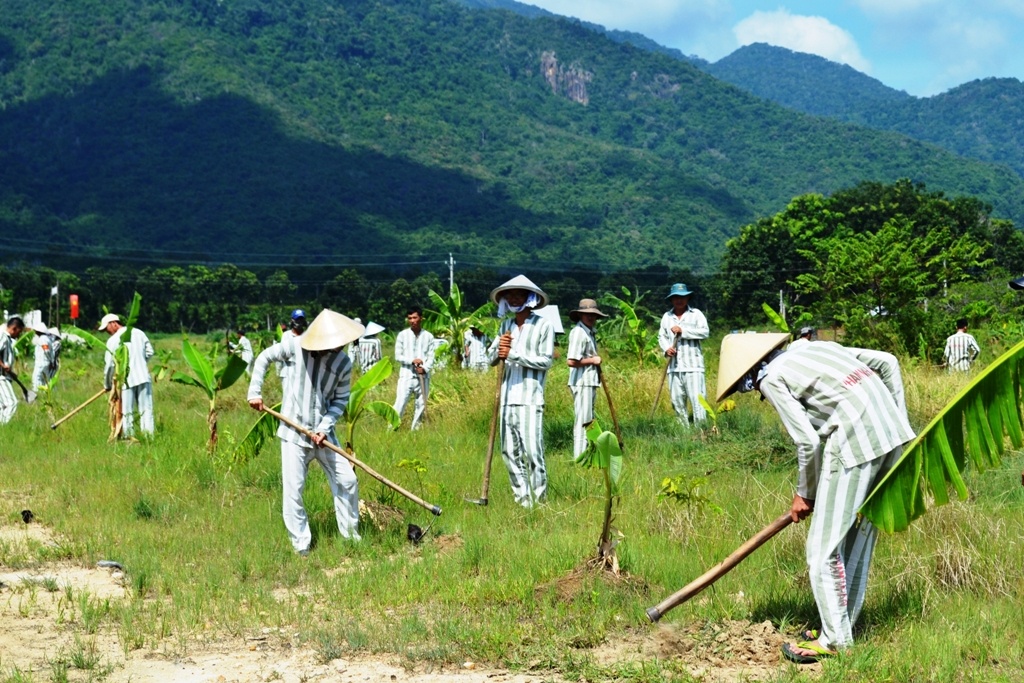Các phạm nhân trại giam Thủ Đức trồng cây lưu niệm trước ngày đặc xá.
