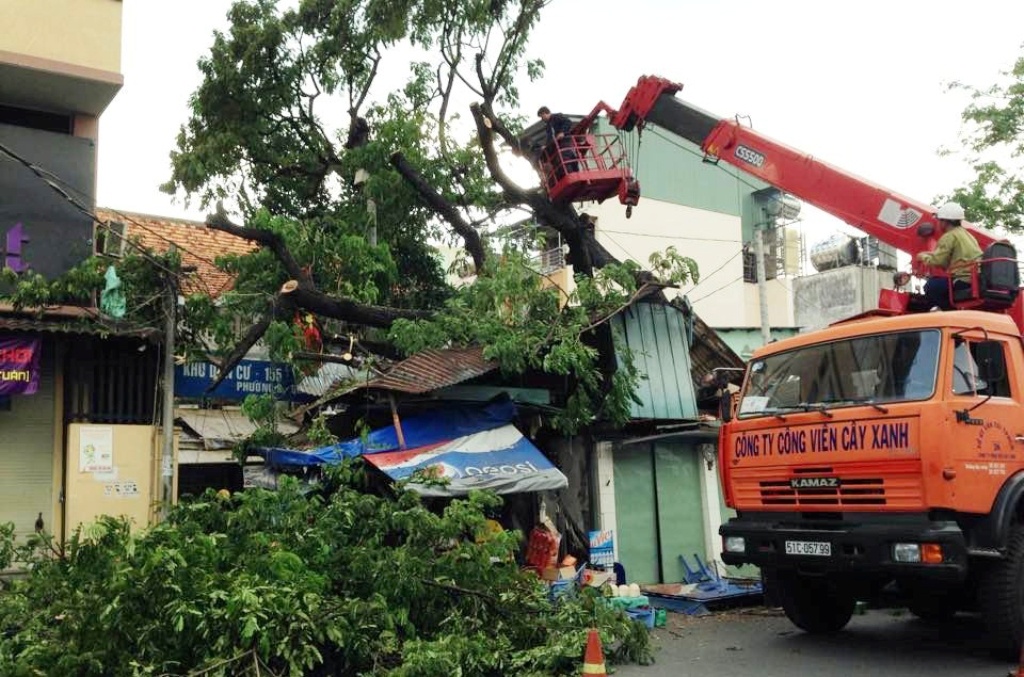 Hiện trường cây xanh ngã đè hai căn nhà trên đường Nguyễn Thông, quận 3.