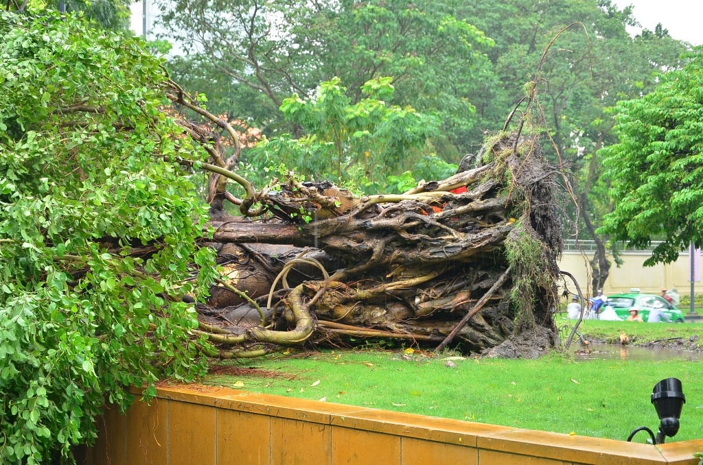 Sai Gon nao loan vi con dong chieu hinh anh