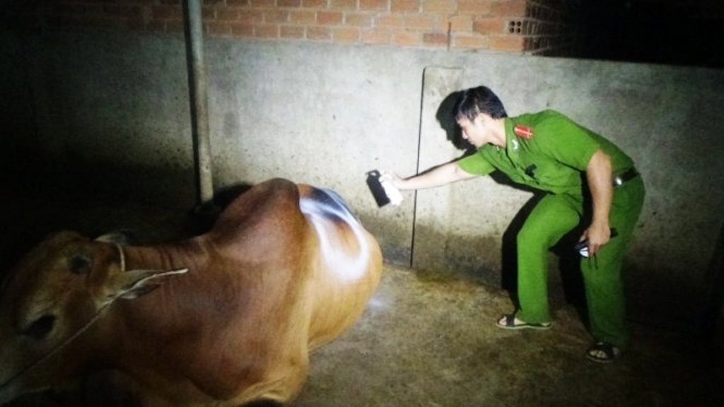 Trang dem mat phuc bat qua tang lo mo bom nuoc vao bo hinh anh