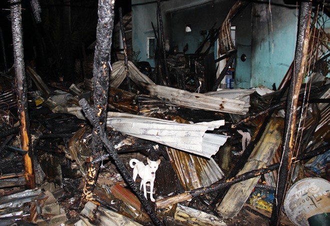 Cai nhau voi vo, dot nha khien 3 con ruot chet tham hinh anh