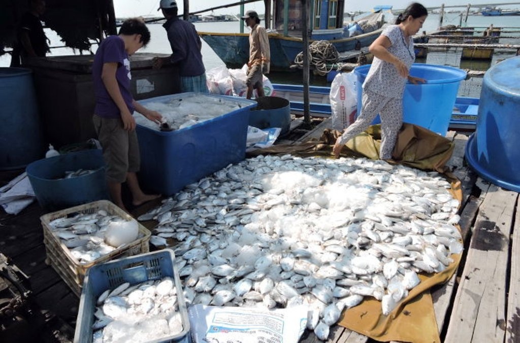 Vu mang ca chet len UBND tinh: Boi thuong cho ngu dan hinh anh