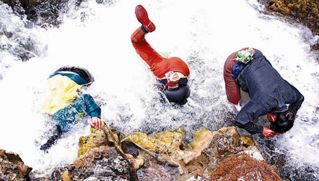 Mo oc da muu sinh hinh anh