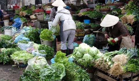 Thanh lap Ban dieu phoi cung cap rau, thit sach Sai Gon hinh anh