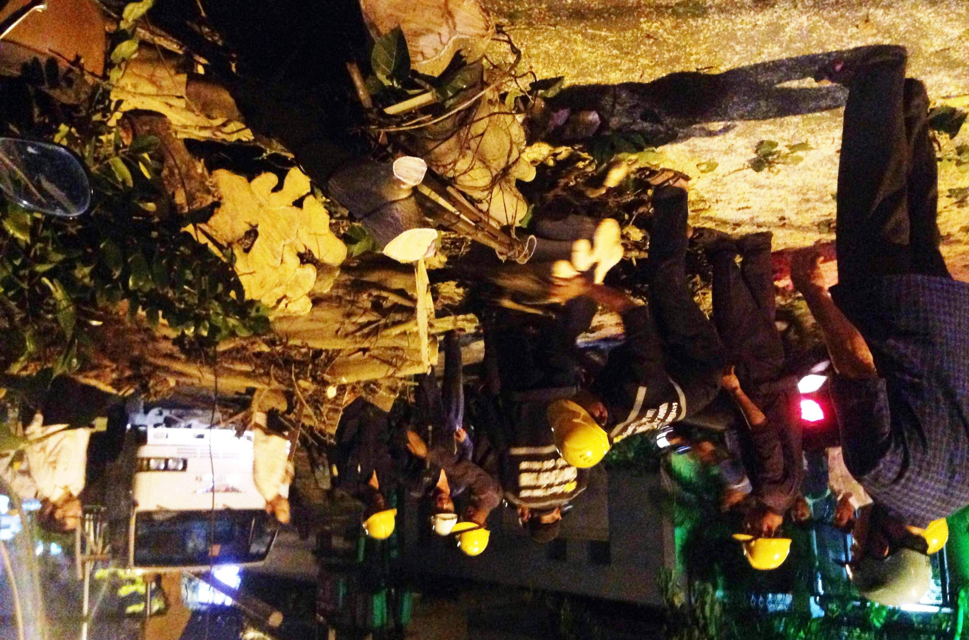 Cay xanh do vao quan ca phe, nhieu nguoi thao chay hinh anh