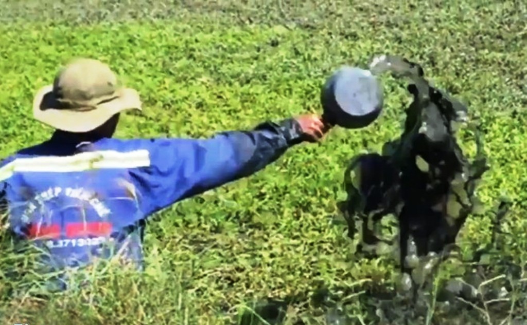 Nong dan khang dinh nhot thai trong rau khong gay hai hinh anh