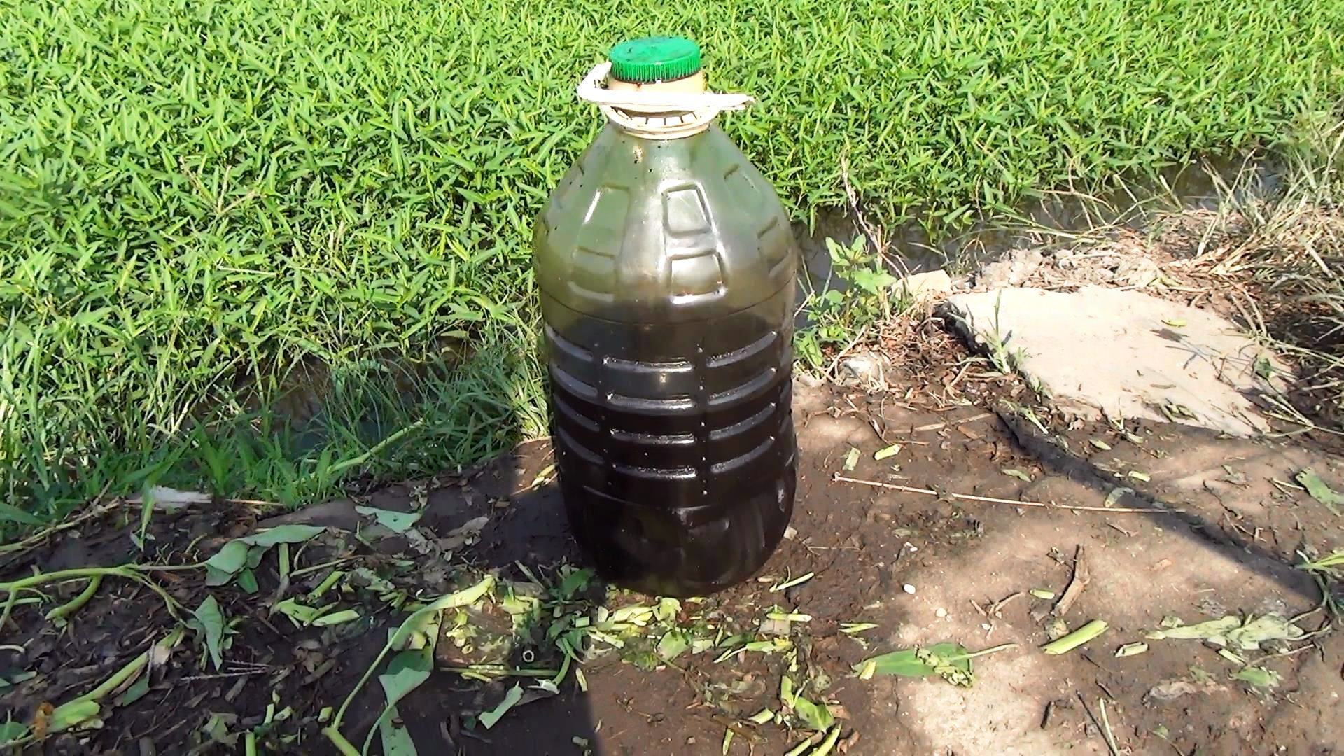 Bat qua tang nong dan tuoi nhot len rau muong o Sai Gon hinh anh