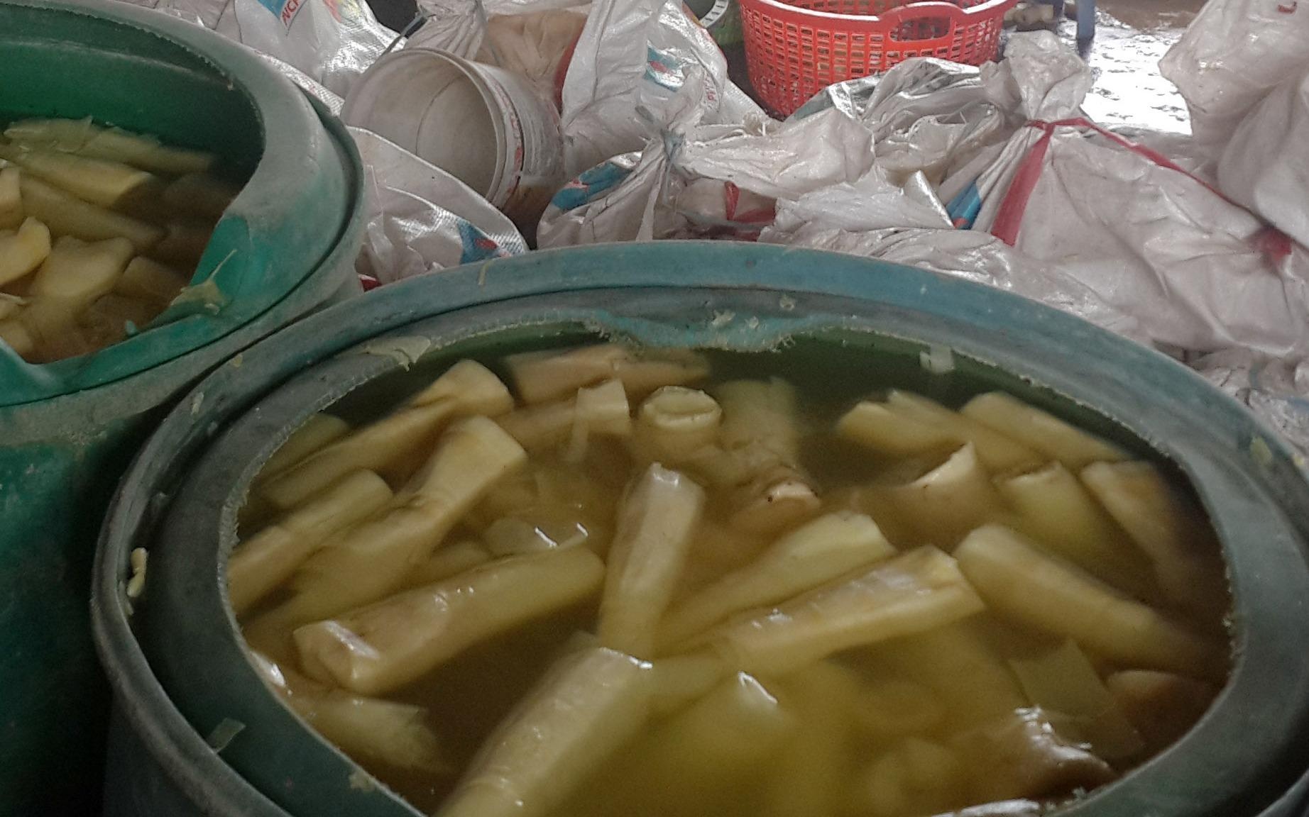 300 kg mang ‘tam’ hoa chat chuan bi ra cho hinh anh