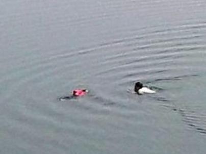 Ba nguoi di choi Tet thay nguoi nhay song nhay theo cuu hinh anh