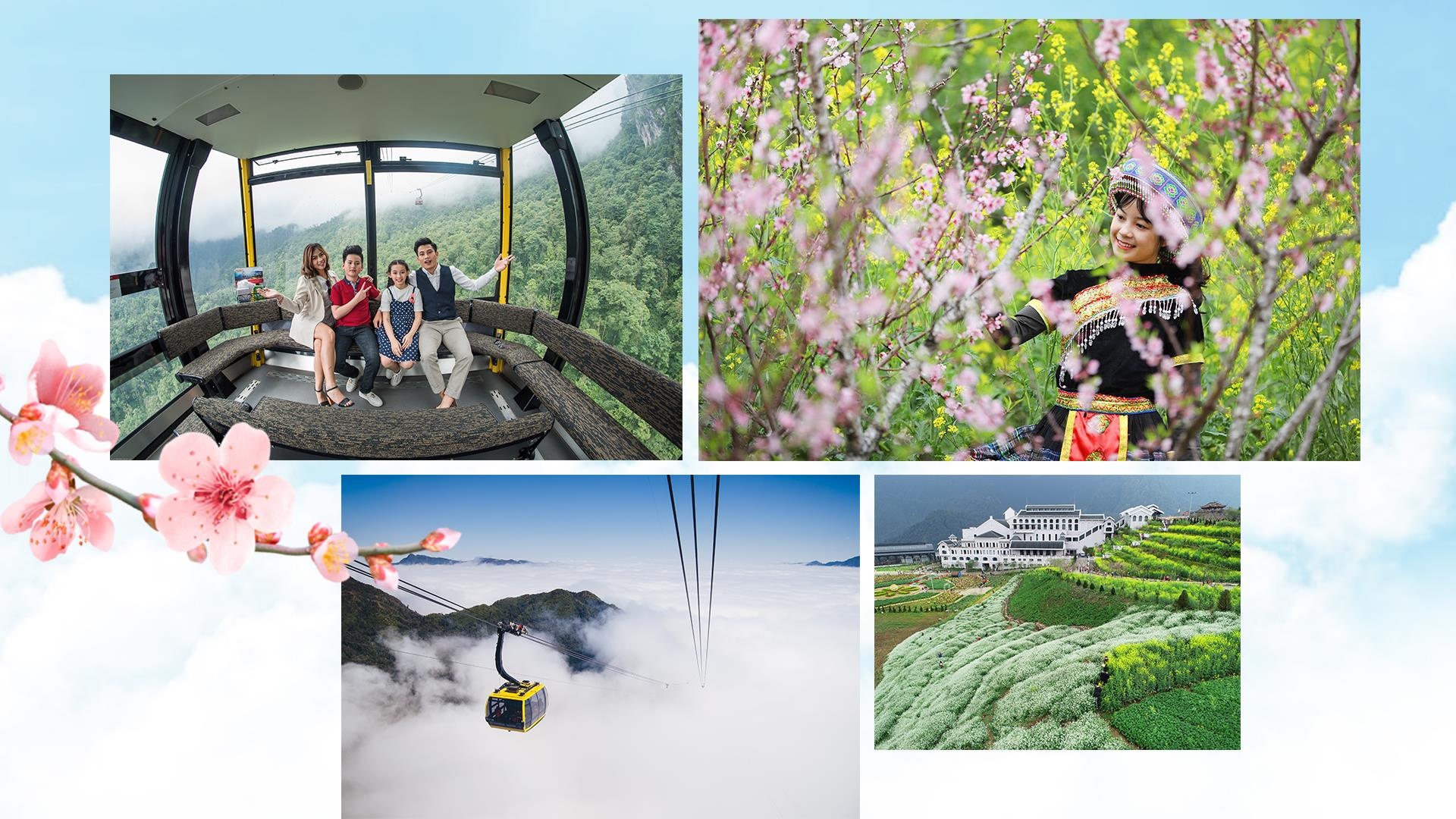 sungroup ảnh 5 sungroup anh 5