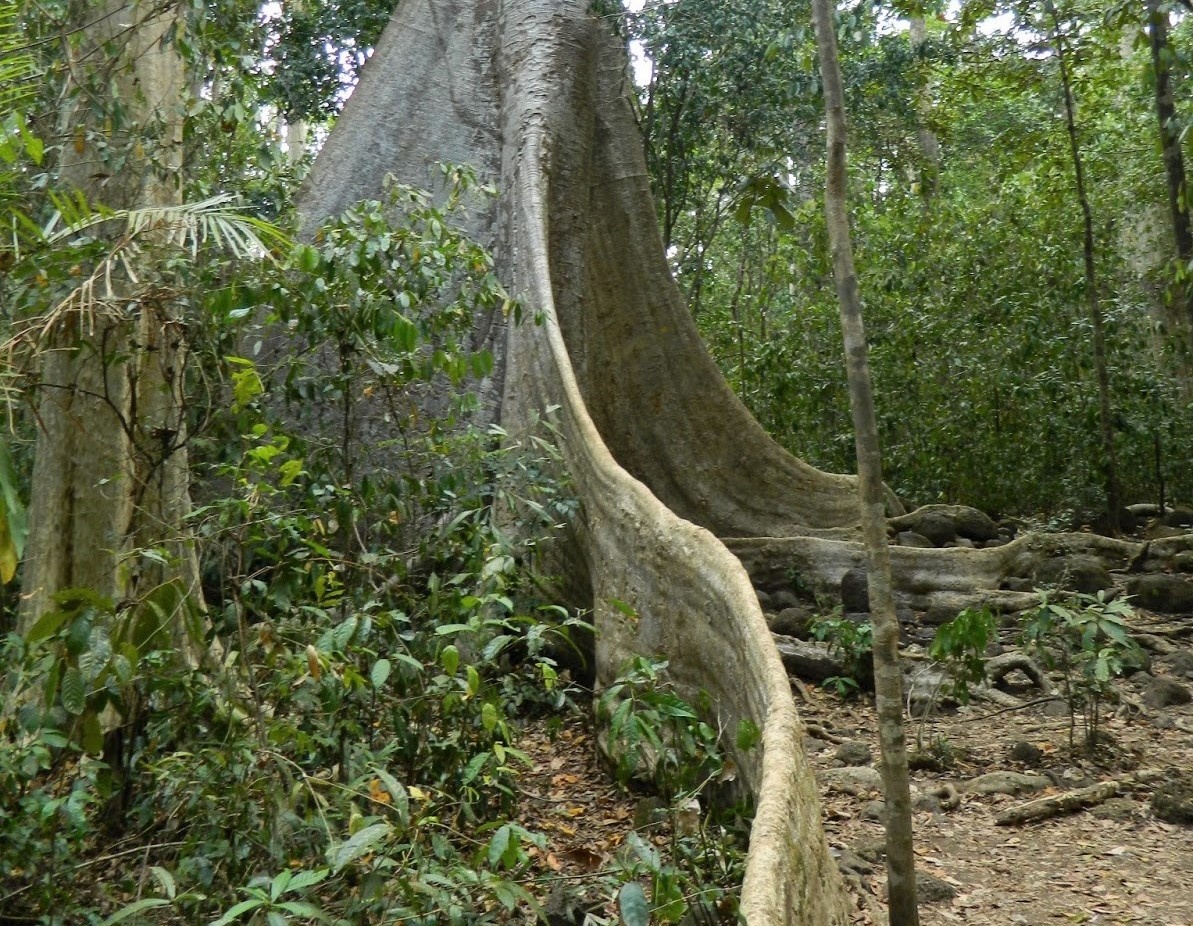 omo ảnh 4 omo anh 4