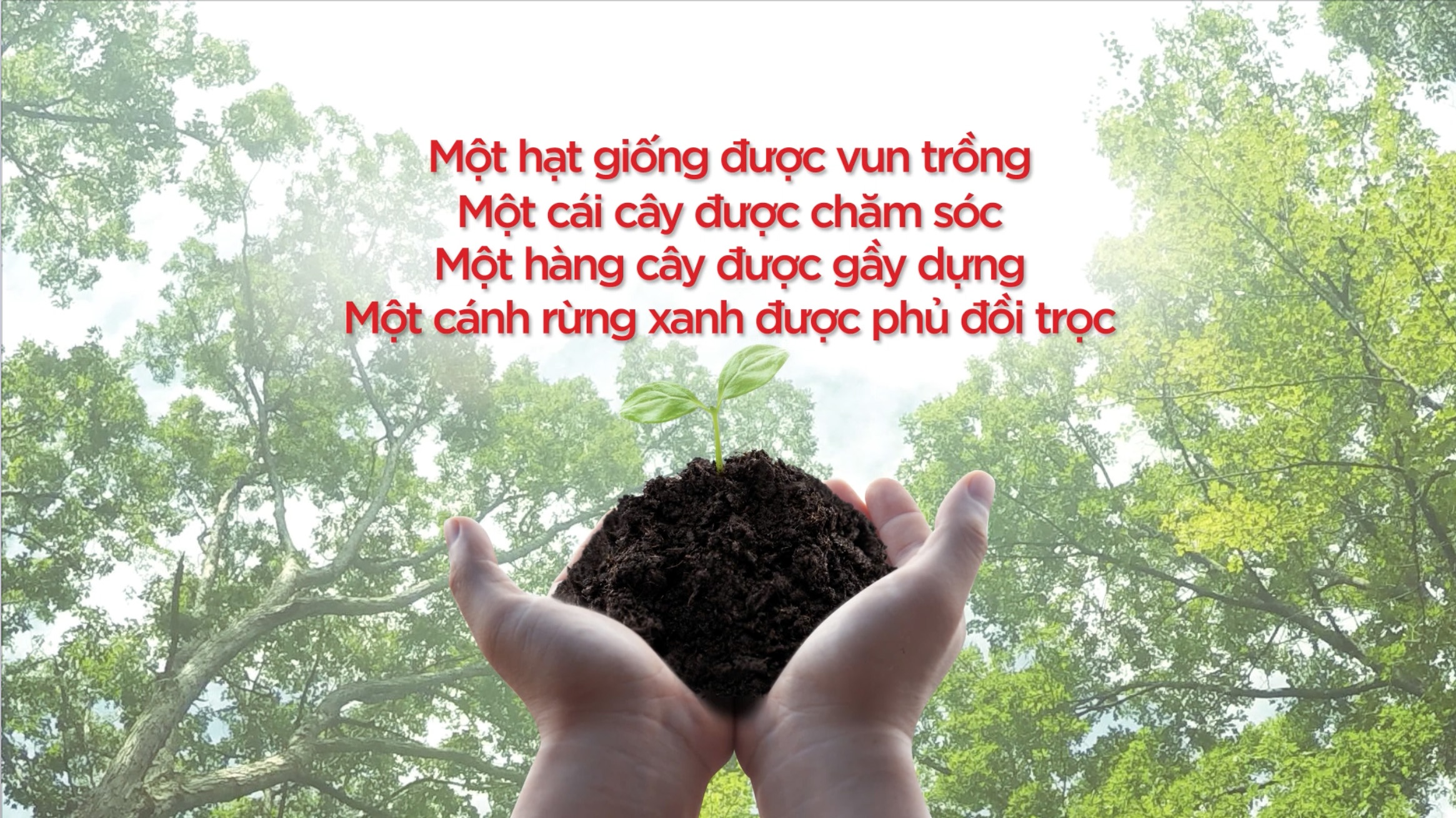 Video - Chien dich truyen thong gia tuong 'Tham hoa lang Kay' hinh anh