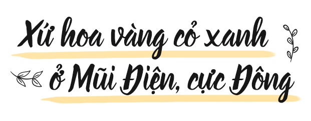 5 điểm du lịch đi hoài không chán của Việt Nam ảnh 9 5 diem du lich di hoai khong chan cua Viet Nam anh 9