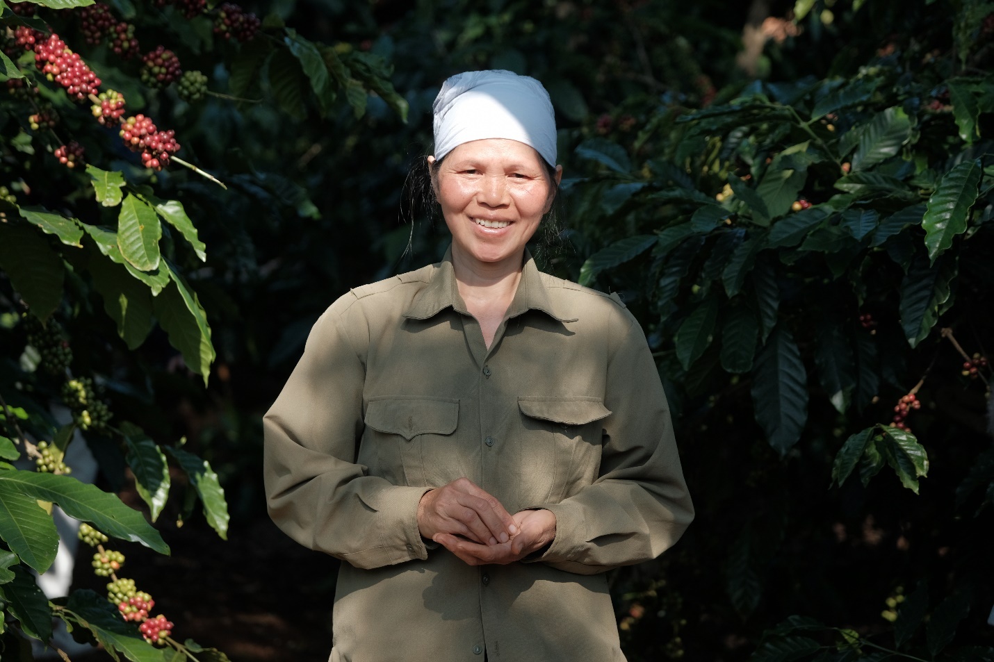 Nescafé ảnh 2 Nescafe anh 2