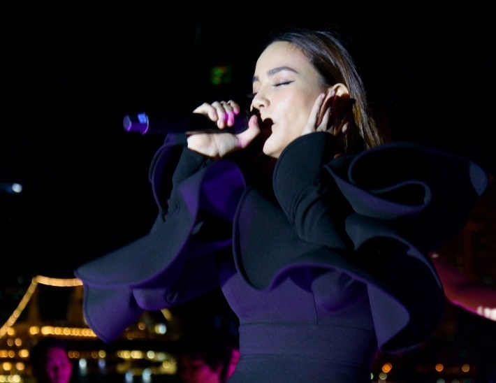 Ha Ho, Dam Vinh Hung va Uyen Linh hoi ngo tren du thuyen 5 sao hinh anh