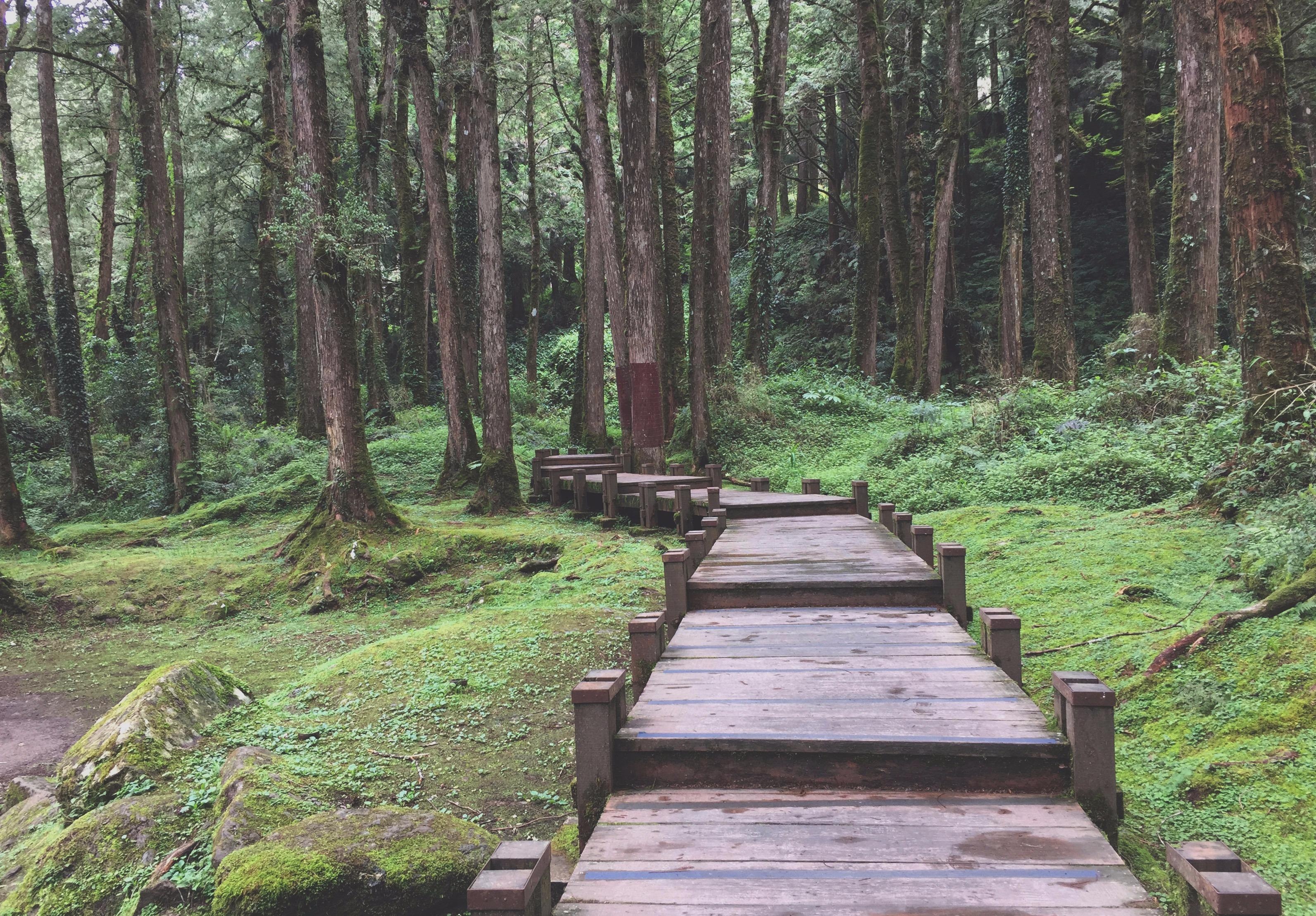 cuoc thi anh Dai Loan anh 7