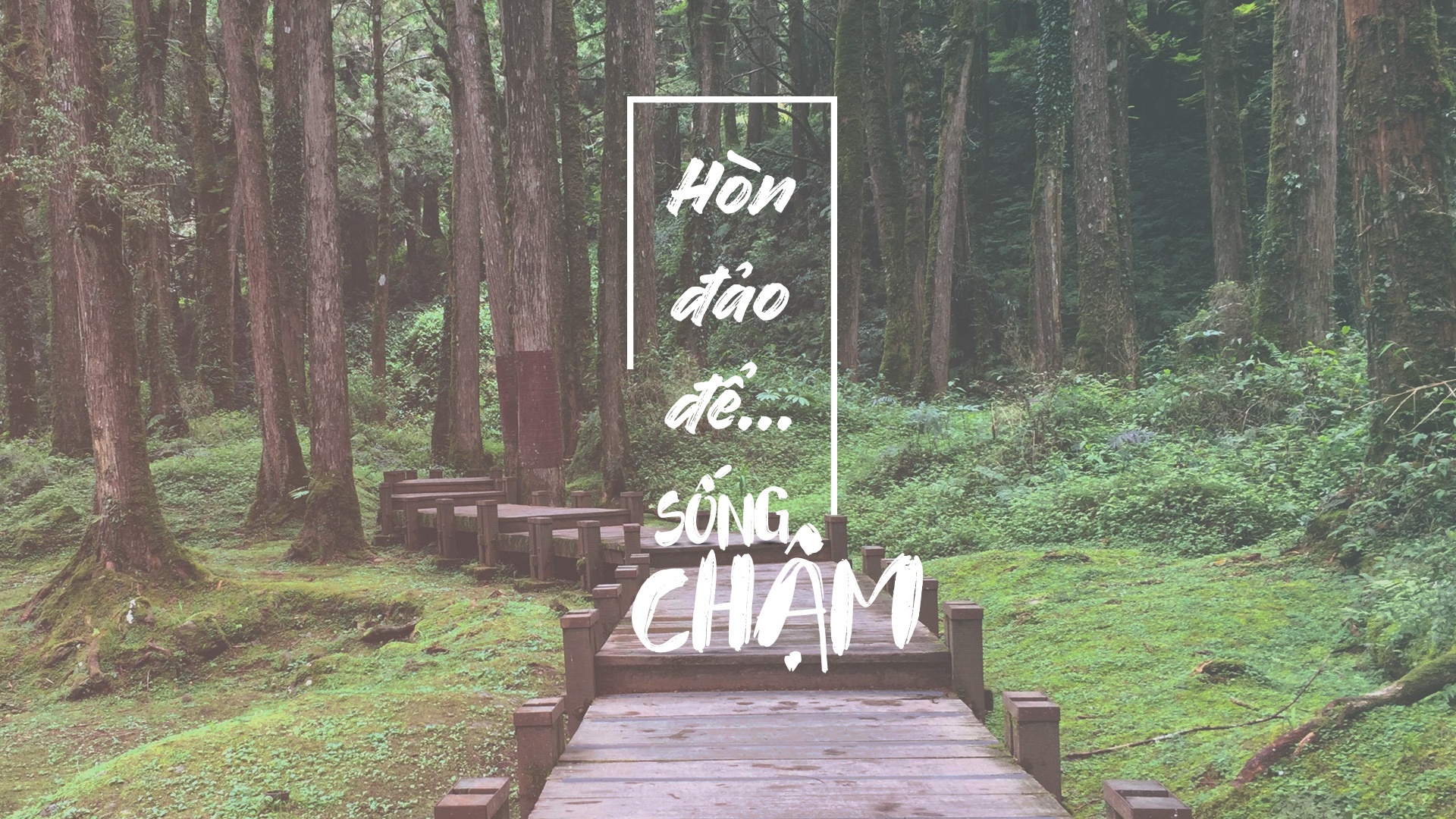 Hon dao de… song cham hinh anh