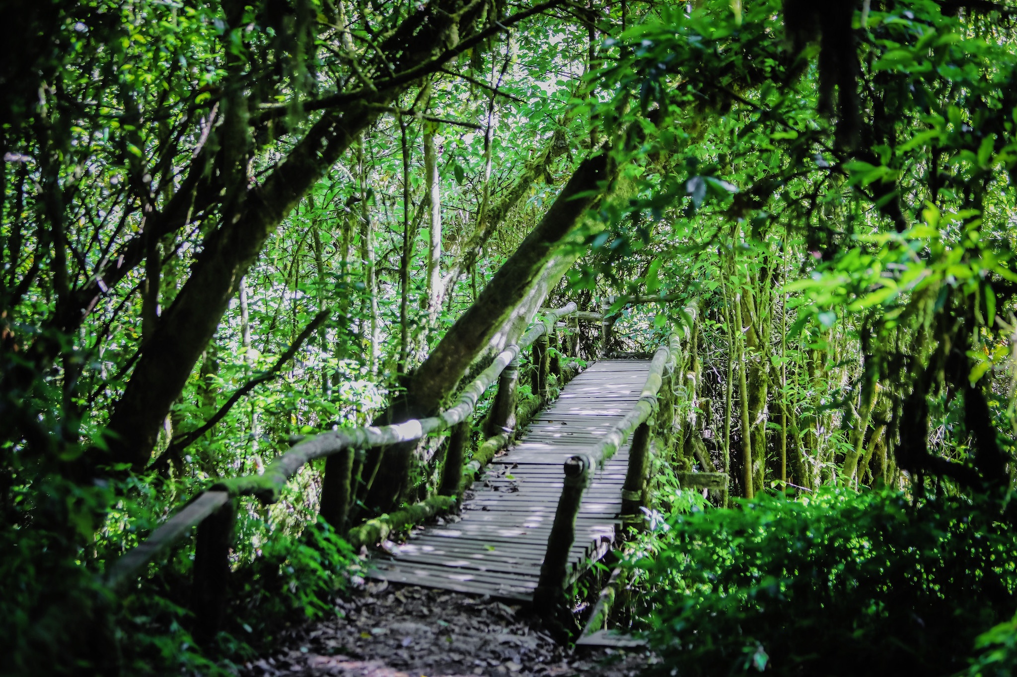 Bay Thai Lan Trai nghiem sac thai moi anh 3