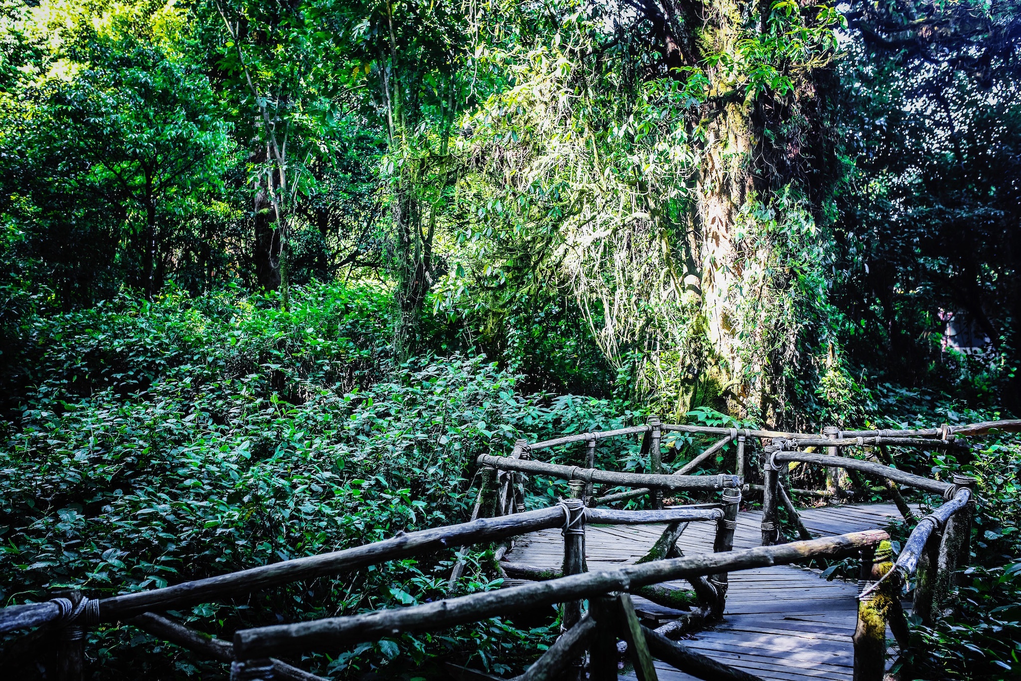 Bay Thai Lan Trai nghiem sac thai moi anh 15