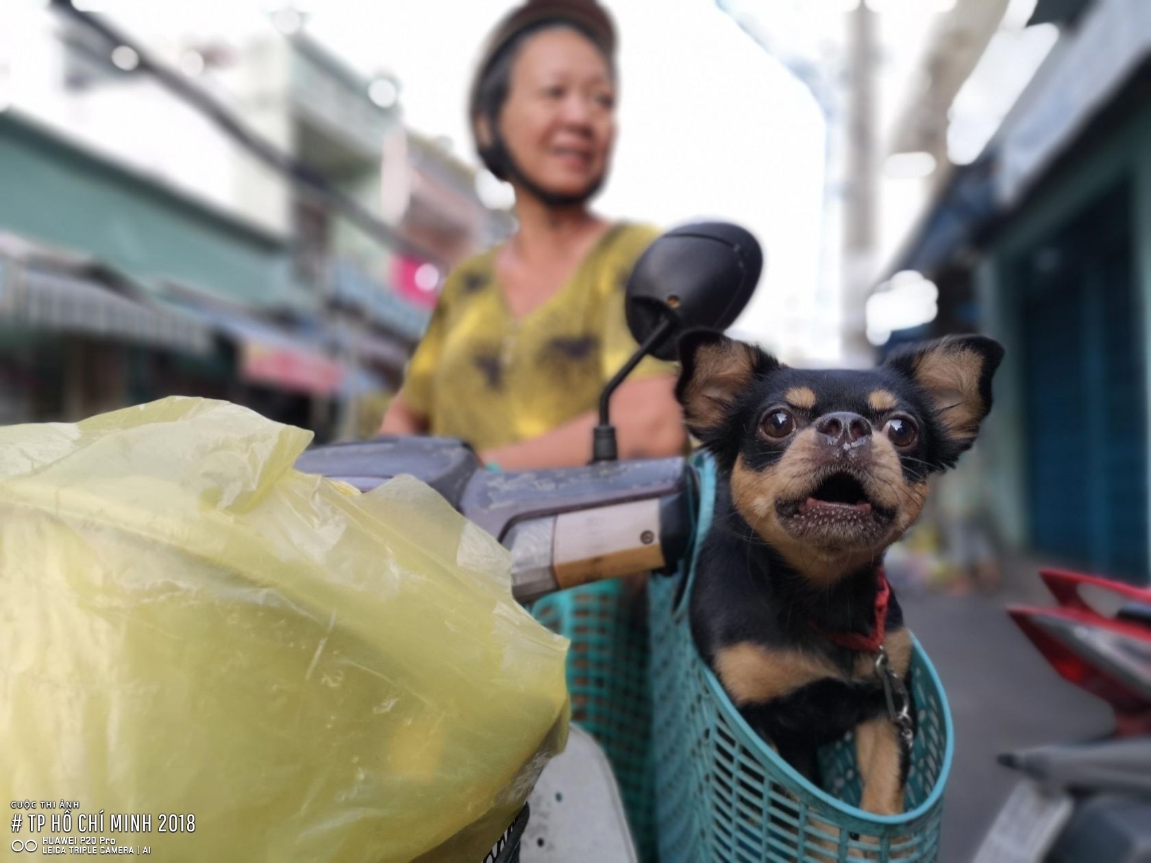 cuoc thi anh TP.HCM 2018 anh 9