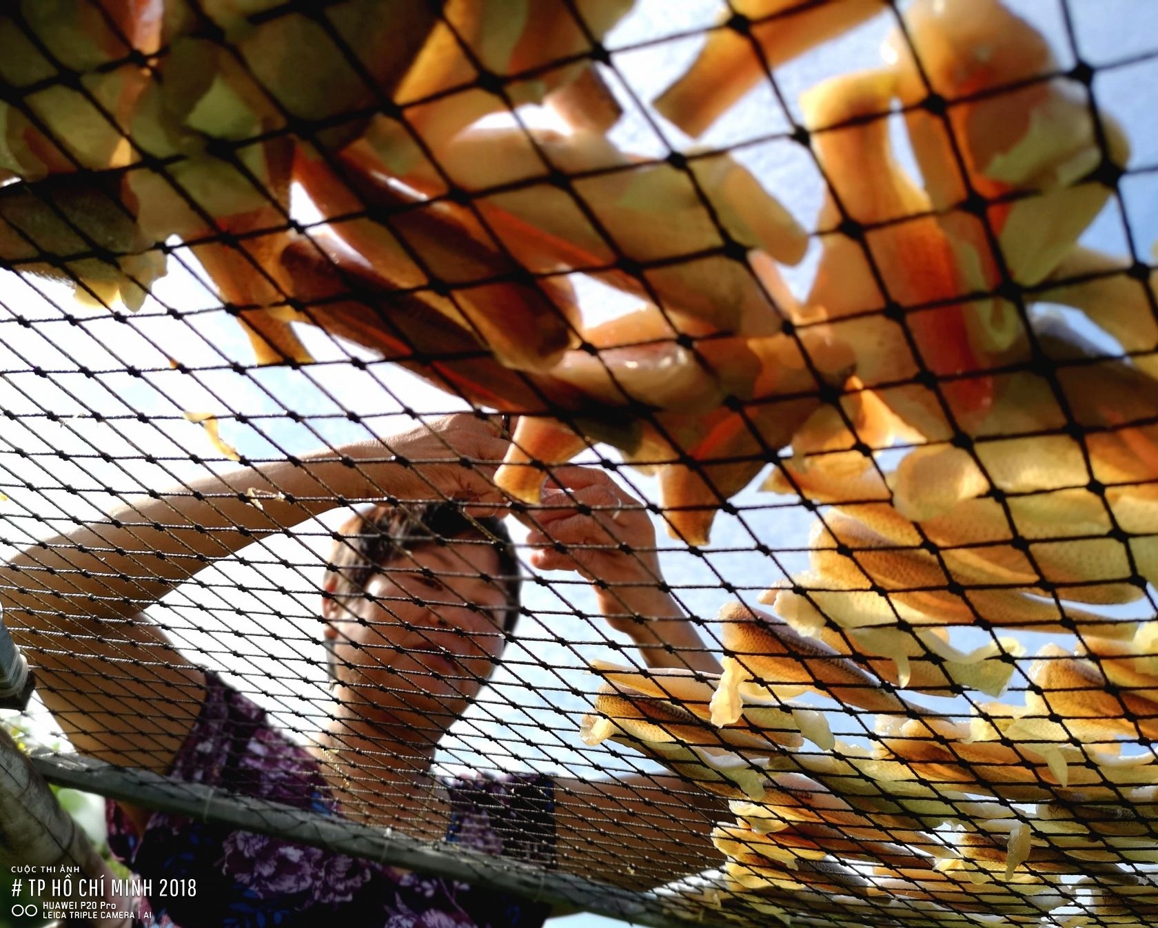 cuoc thi anh TP.HCM 2018 anh 3