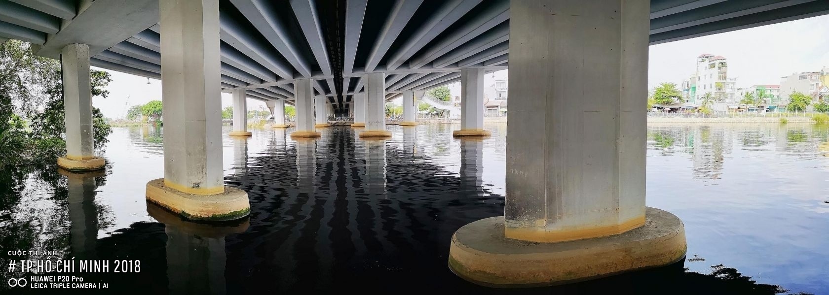 TP.HCM 2018 anh 5